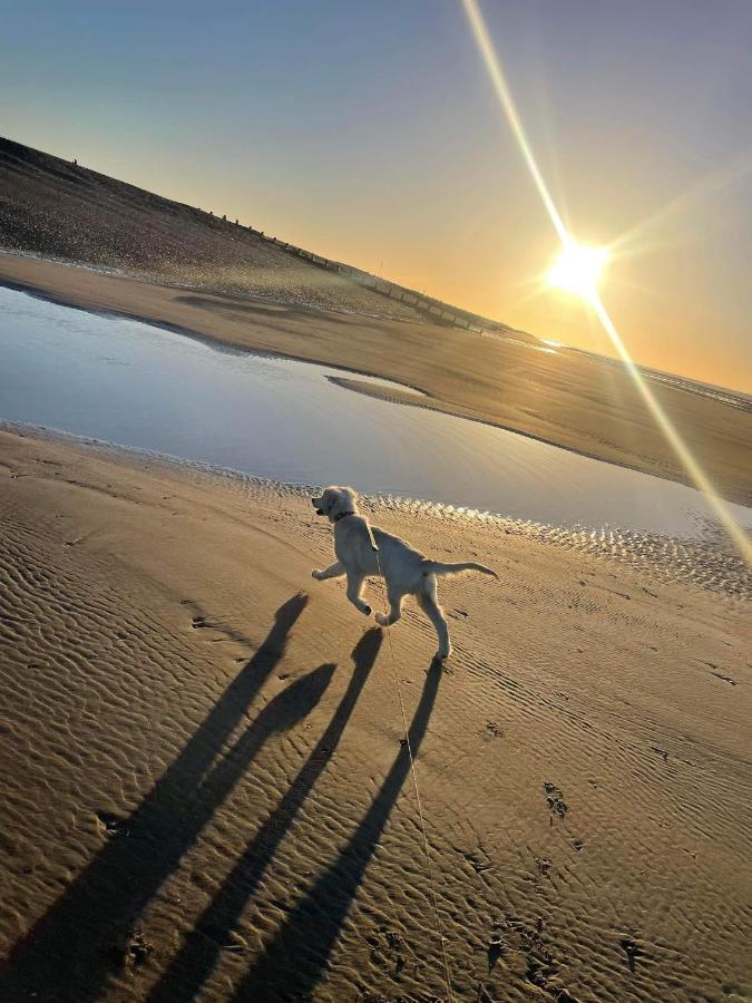 Pet Paradise Рай Экстерьер фото